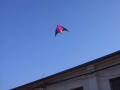 Ronnie's big kite from ben