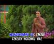 SmS-InDonEsIa