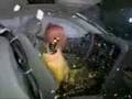 Whine Up The Crash Test Video (The Awesome One)