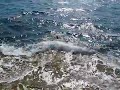 cyprus  dive 2008