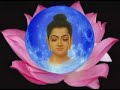 THE ENLIGHTENED ONE: Siddhartha Gautama Buddha THE ENLIGHTENED ONE: Siddhartha Gautama Buddha