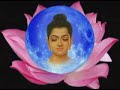 the enlightened one:  siddhartha gautama buddha