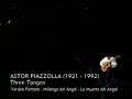 Petar Jankovic LIVE Piazzolla: Verano Porteno