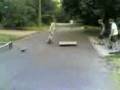 The skate vid
