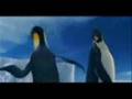 nasheed shee3a