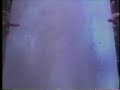 Graham Parker - Temporary Beauty (video)