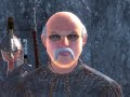 Elder Scrolls IV: Wilford Brimley\