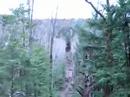 Ziplining Clip 5