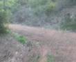 chevette grumet 3