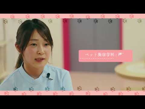 国際ペットワールド専門学校「学校紹介」動画