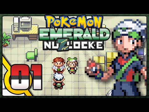 how to nuzlocke pokemon