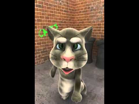 Dayak yiyen kedi