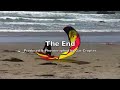Kiteboarding San Simeon CA - 05-16
