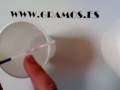 PRUEBA EMBARAZO WWW.GRAMOS.ES ENVIOS GRATIS