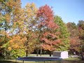 Fall Foilage in Pennsylvania