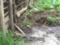 Sustainable Agriculture (Part 1) - African film about farming for the environment