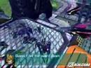 game army fuerer frei amv (check desc)