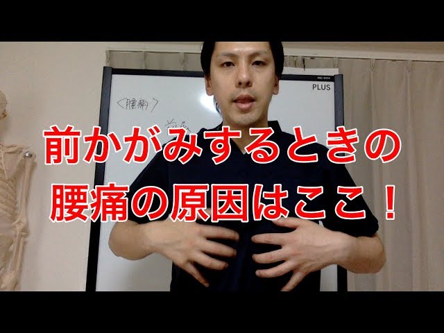 【高槻 腰痛】前かがみするときの腰痛の原因はここ！