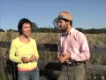 Peak Oil Meets Permaculture: part 3