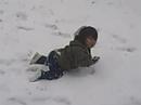 Paul eating the snow Paul eating the snow