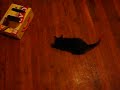 Pixel 'playing' with a mouse