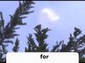 Death Star Galactic Federation ufo over San Francisco gotta see to believe