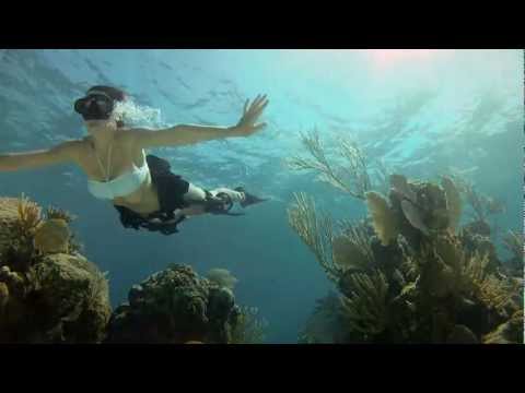 Click aici pentru vizualizare GoPro HD: Shark Riders - Introducing GoPros New Dive Housing GoPro HD: Shark Riders - Introducing GoPros New Dive Housing