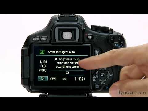 how to set timer on canon eos rebel t3