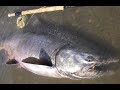 いもフライ動画5