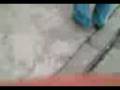 videos de Foto Numero 003