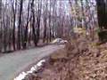 Rally New York 2008 O'leary tree crash