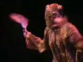 African Mask Dancers