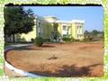 Telugu Desam Party (TDP) Chandra Babu