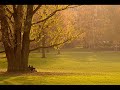خى خى - محمد عبد الوهاب