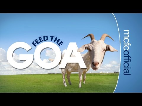 FEED THE GOAT | How many can the City EDS get out of ten?