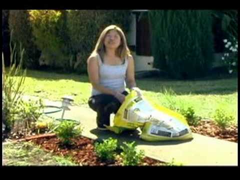 how to fertilize boxwood