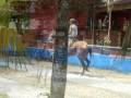 videos de MANDINGA DICIEMBRE 27 DE 2 008