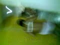Janda%20Dan%20Mat%20Rempit