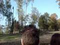 videos de Jona in Burgers Zoo (1)
