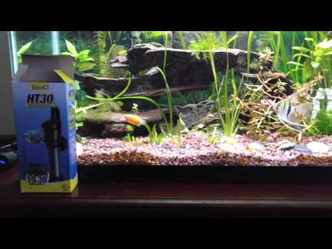 Tetra HT30 Aquarium Heater Review