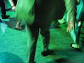 2 step @ INDJ