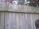 NO TRESSPASSING