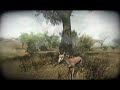 far-cry2-first-trailer.html