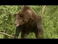 Chernobyl: Life in the Dead Zone (part 1)