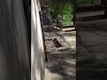 $videos[i].title|seotitle