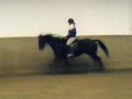 Reiten in der Halle :)