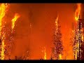 The Stream in Springtime (Den Vilda instrumental) The Stream in Springtime (Den Vilda instrumental)