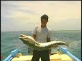 Yap & Palau Sport Fishing Part 1