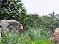 Jungle River Cruise at Pirateland