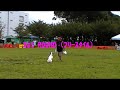 2008/8/31 AWI 3th Heat